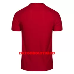 Norge Fodboldtrøje Herre Hjemmebane 2022-23