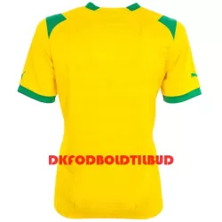 West Bromwich Albion Fodboldtrøje Herre Udebane 2022-23