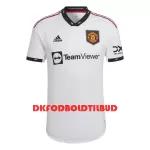 Manchester United Fodboldtrøje Herre Udebane 2022-23