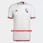 Belgien Fodboldtrøje Herre Udebane VM 2022