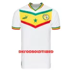 Senegal Fodboldtrøje Herre Hjemmebane VM 2022