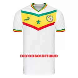 Senegal Fodboldtrøje Herre Hjemmebane VM 2022
