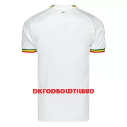 Senegal Fodboldtrøje Herre Hjemmebane VM 2022