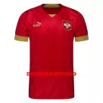 Serbien Fodboldtrøje Herre Hjemmebane VM 2022