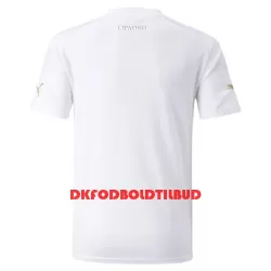 Serbien Fodboldtrøje Herre Udebane VM 2022