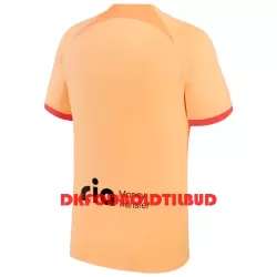 Atlético Madrid Fodboldtrøje Herre Tredje 2022-23