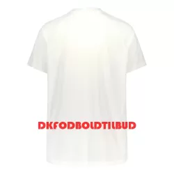 Finland Fodboldtrøje Herre Hjemmebane 2022