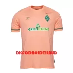 Werder Bremen Fodboldtrøje Herre Udebane 2022-23