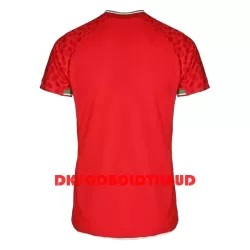 Iran Fodboldtrøje Herre Udebane VM 2022