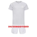 Danmark Fodboldtrøje Børn Udebane VM 2022