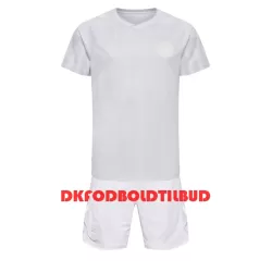 Danmark Fodboldtrøje Børn Udebane VM 2022 Danmark Fodboldtrøje Børn Udebane VM 2022