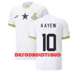 Ghana Andre Ayew 10 Fodboldtrøje Herre Hjemmebane VM 2022