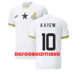 Ghana Andre Ayew 10 Fodboldtrøje Herre Hjemmebane VM 2022 Ghana Andre Ayew 10 Fodboldtrøje Herre Hjemmebane VM 2022