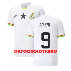 Ghana Ayew 9 Fodboldtrøje Herre Hjemmebane Jordan VM 2022 Ghana Ayew 9 Fodboldtrøje Herre Hjemmebane Jordan VM 2022