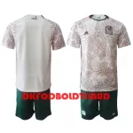 Mexico Fodboldtrøje Børn Udebane VM 2022