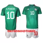 Mexico Orbelin Pineda 10 Fodboldtrøje Børn Hjemmebane VM 2022