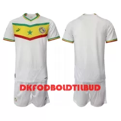 Senegal Fodboldtrøje Børn Hjemmebane VM 2022