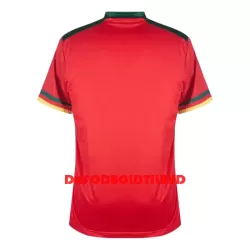 Cameroun Fodboldtrøje Herre Tredje VM 2022