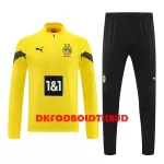 Borussia Dortmund Trænings Sweatshirt Herre 2022-23 Gul