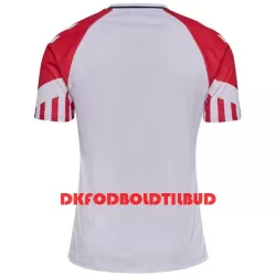 Danmark Fodboldtrøje Herre Udebane 2023
