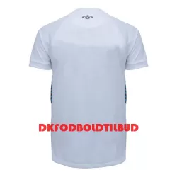 Grêmio FBPA Fodboldtrøje Herre Udebane 23/24