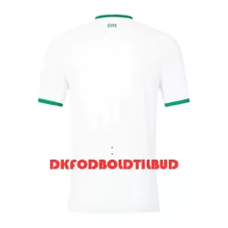 Irland Fodboldtrøje Herre Udebane 2023