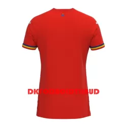 Rumænien Fodboldtrøje Herre Udebane 2023