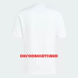 Italien Fodboldtrøje Herre 125. Jubilæum 2023