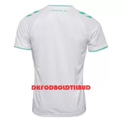 Werder Bremen Fodboldtrøje Herre Udebane 23/24