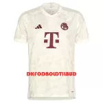 FC Bayern München Fodboldtrøje Herre Tredje 23/24