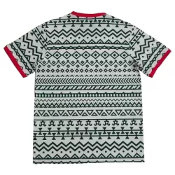 Nigeria Fodboldtrøje Herre 23/24 Speciel