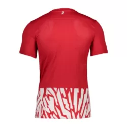 SC Freiburg Fodboldtrøje Herre Hjemmebane 23/24