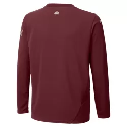 Manchester City Fodboldtrøje Herre Tredje 24/25 Langærmet