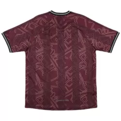 Danmark Fodboldtrøje Herre 24/25 Speciel