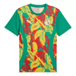 Senegal Pre-Match Fodboldtrøje Herre 24/25