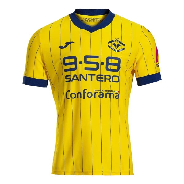 Hellas Verona Fodboldtrøje Herre Fjerde 24/25
