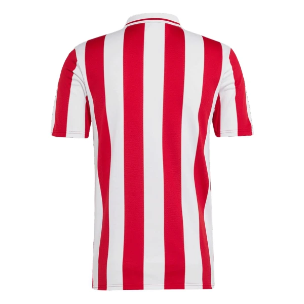 Olympiakos 100th Fodboldtrøje Herre Jubilæum 24/25