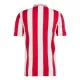 Olympiakos 100th Fodboldtrøje Herre Jubilæum 24/25