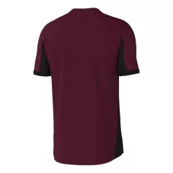 Galatasaray Fodboldtrøje Herre Tredje 25/26