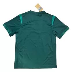 Nigeria Fodboldtrøje Herre Hjemmebane 25/26