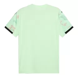 Portugal Fodboldtrøje Herre Udebane 2025