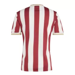 FC Nurnberg Fodboldtrøje Herre Jubilæum 24/25