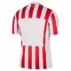 Atlético Madrid Fodboldtrøje Børn Hjemmebane 25/26