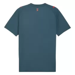 Shakhtar Donetsk Fodboldtrøje Herre Udebane 25/26