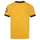 Wolverhampton Fodboldtrøje Herre Hjemmebane 25/26