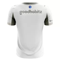 PSV Eindhoven Fodboldtrøje Herre Tredje 25/26