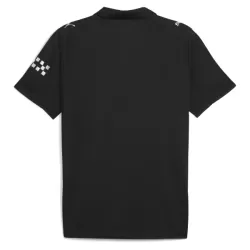 Manchester City Fodboldtrøje Herre Udebane 25/26