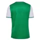 AS Saint-Étienne Fodboldtrøje Herre Hjemmebane 25/26