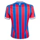 Crystal Palace Fodboldtrøje Børn Hjemmebane 25/26