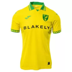 Norwich City Fodboldtrøje Herre Hjemmebane 25/26